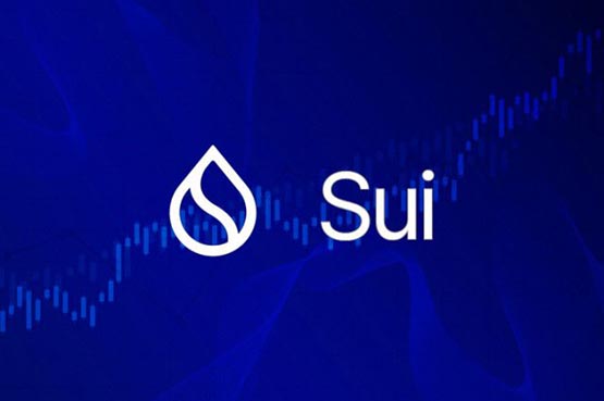 Sui基金会完成重大升级：修复三次宕机漏洞，网络稳定性跃升