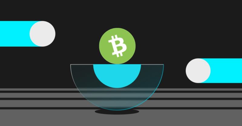 比特现金发行量是多少?比特现金发行总量介绍