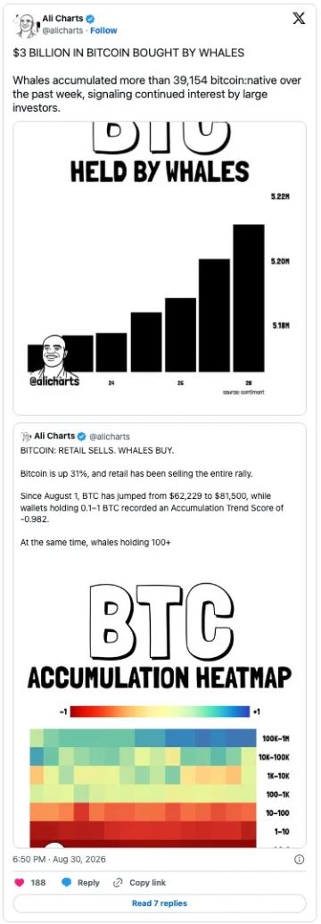 高杠杆下的比特币:反弹还是陷阱?大户吸筹散户出逃,行情根基存疑