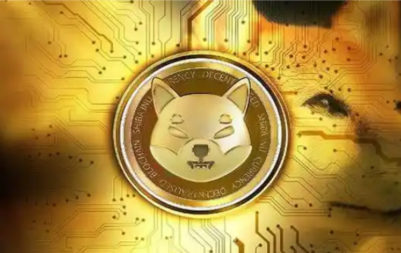 柴犬币的创始人是谁?一文了解SHIB柴犬币创始人背景与身份