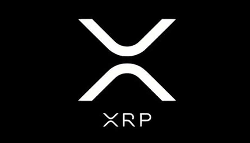 有哪些适合自己的加密货币交易所?怎么选?2026币圈新人交易所盘点