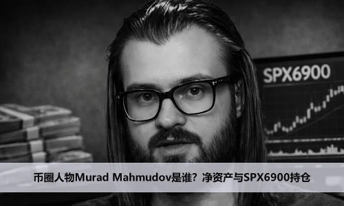币圈大佬Murad Mahmudov是谁？净资产与SPX6900持仓