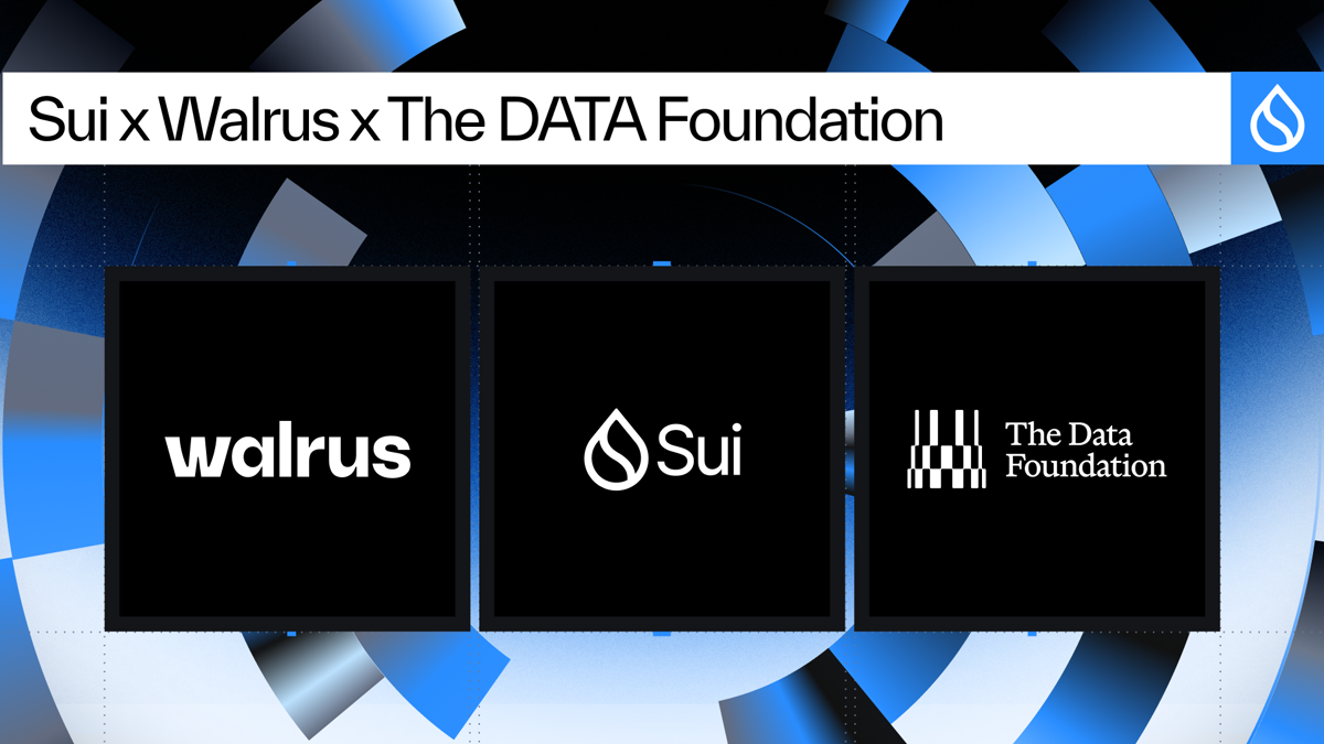 Sui与DATA Network达成整合计划：AI数据上链，迁移还未完成