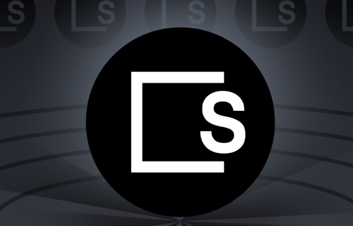 SKL币是什么 在SKALE网络中如何治理