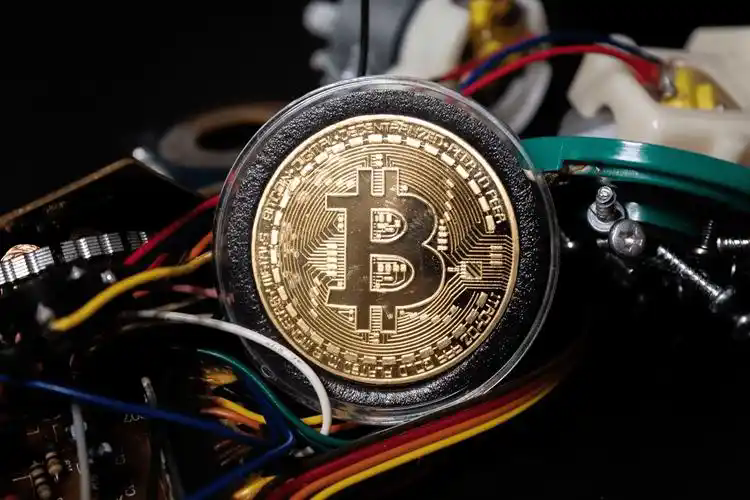 一分钟了解玩比特币的都是什么人？