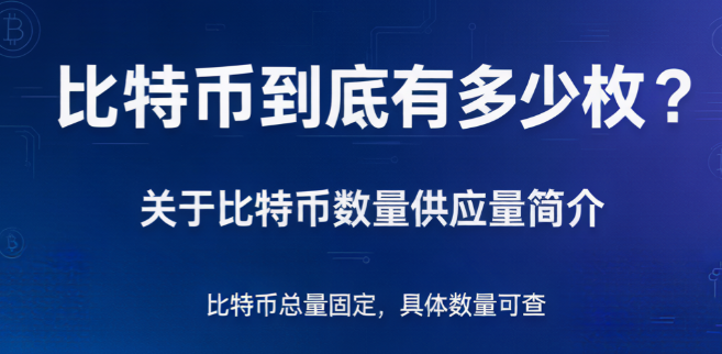 比特币到底有多少枚？关于比特币数量供应量简介