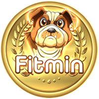 FTM (FTM)