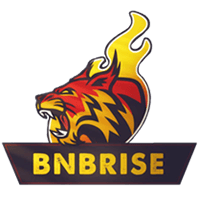 BRISE