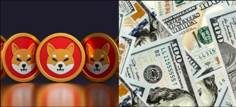 Shiba Inu代币持有者正在从交易所撤回代币
