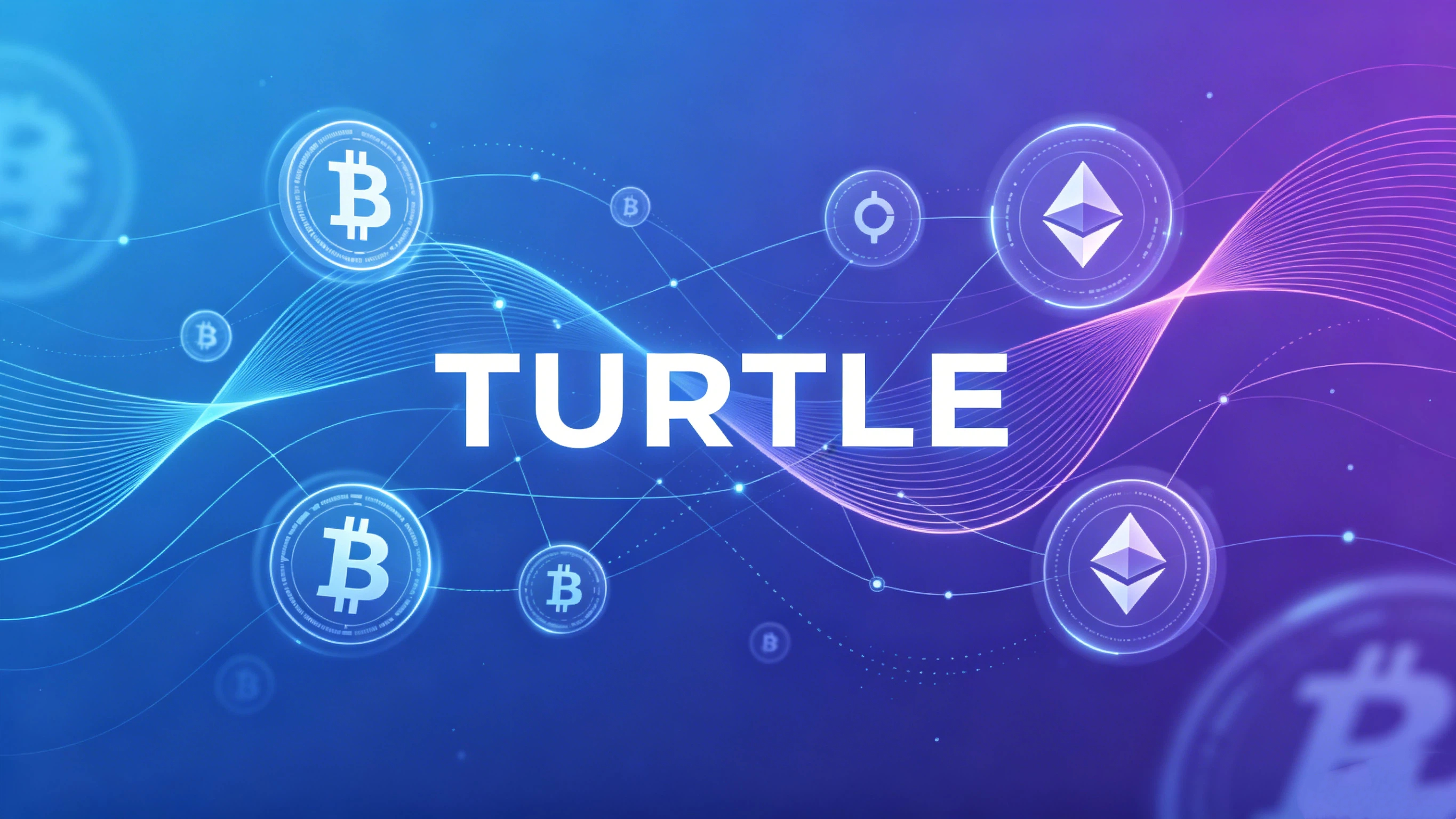 什么是Turtle (TURTLE)？ 如何运作?