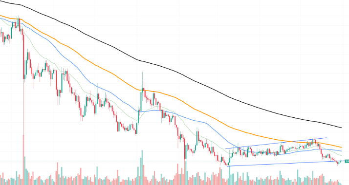 比特币接近超卖，SHIB与NEAR测试支撑